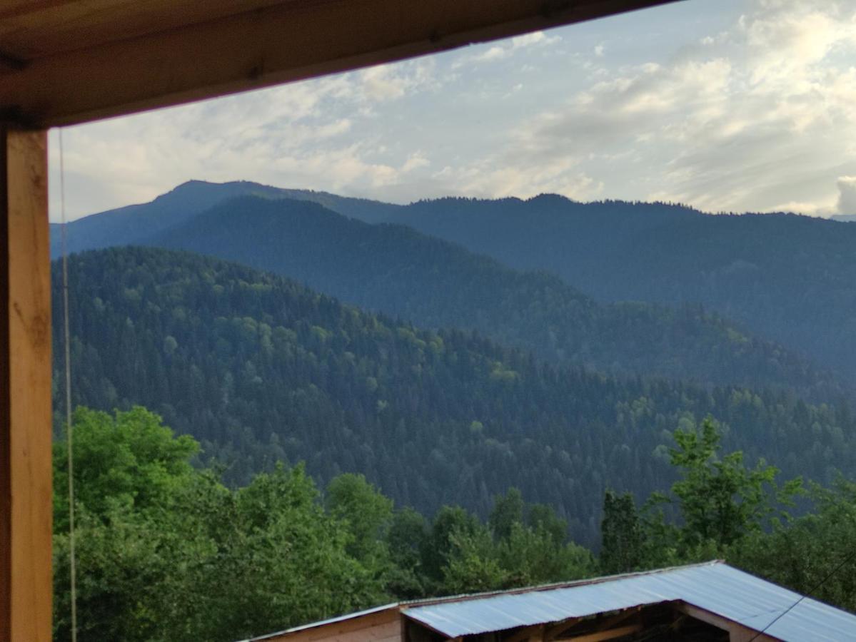 Ecohouse Svaneti Mestia Exterior photo