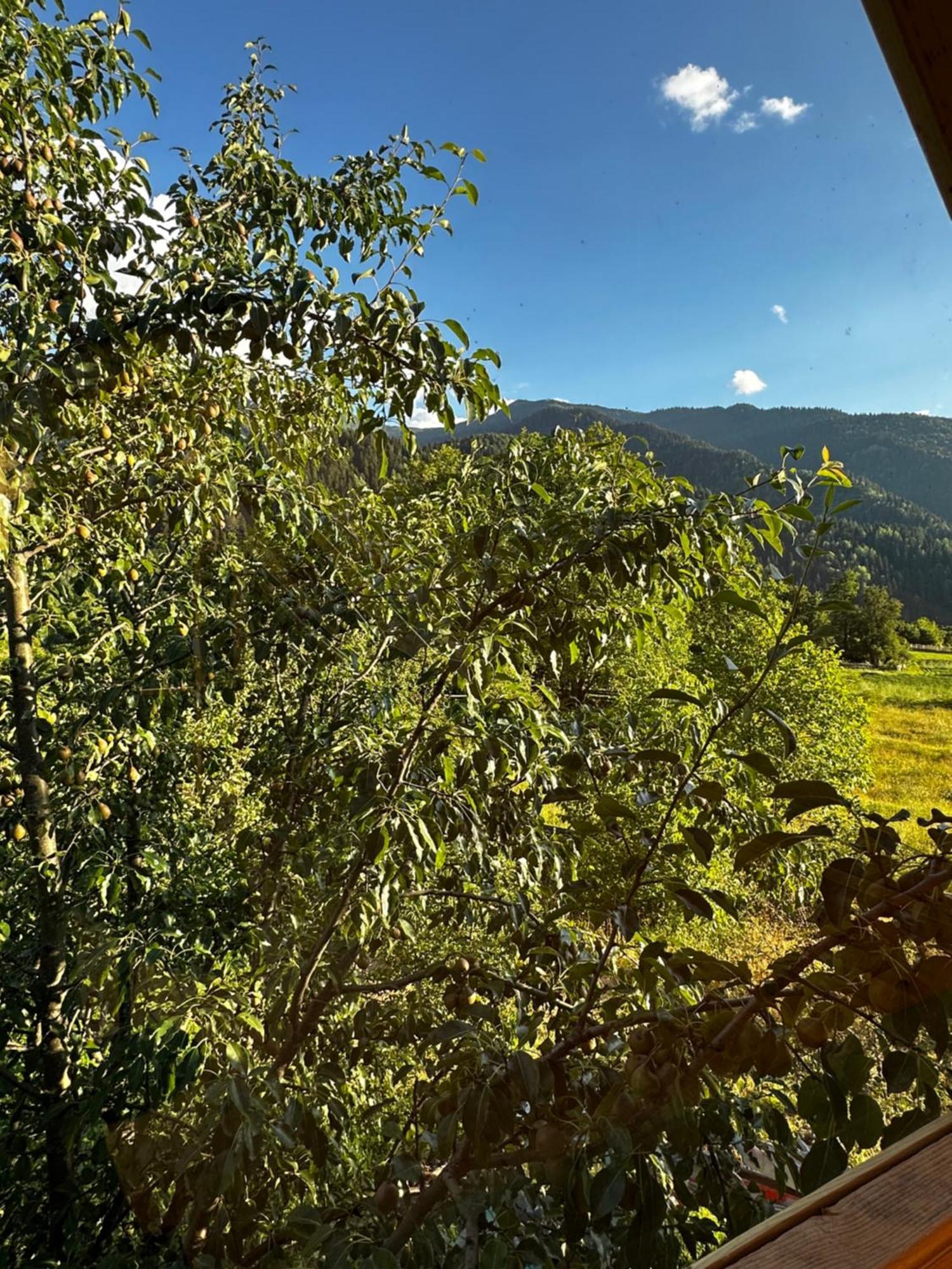 Ecohouse Svaneti Mestia Exterior photo