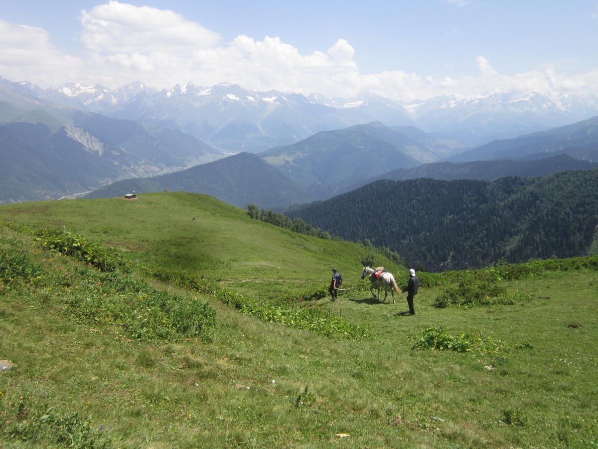 Ecohouse Svaneti Mestia Exterior photo