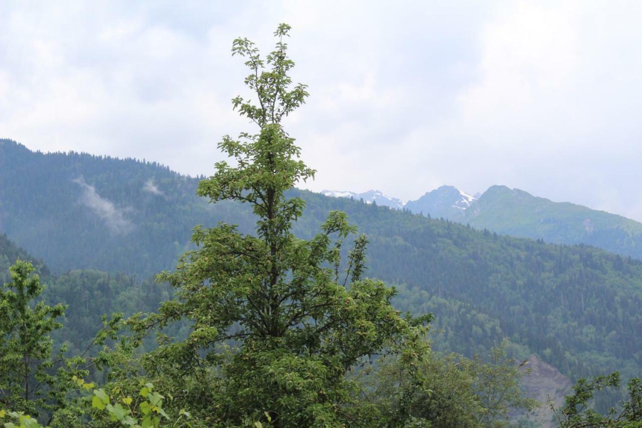 Ecohouse Svaneti Mestia Exterior photo