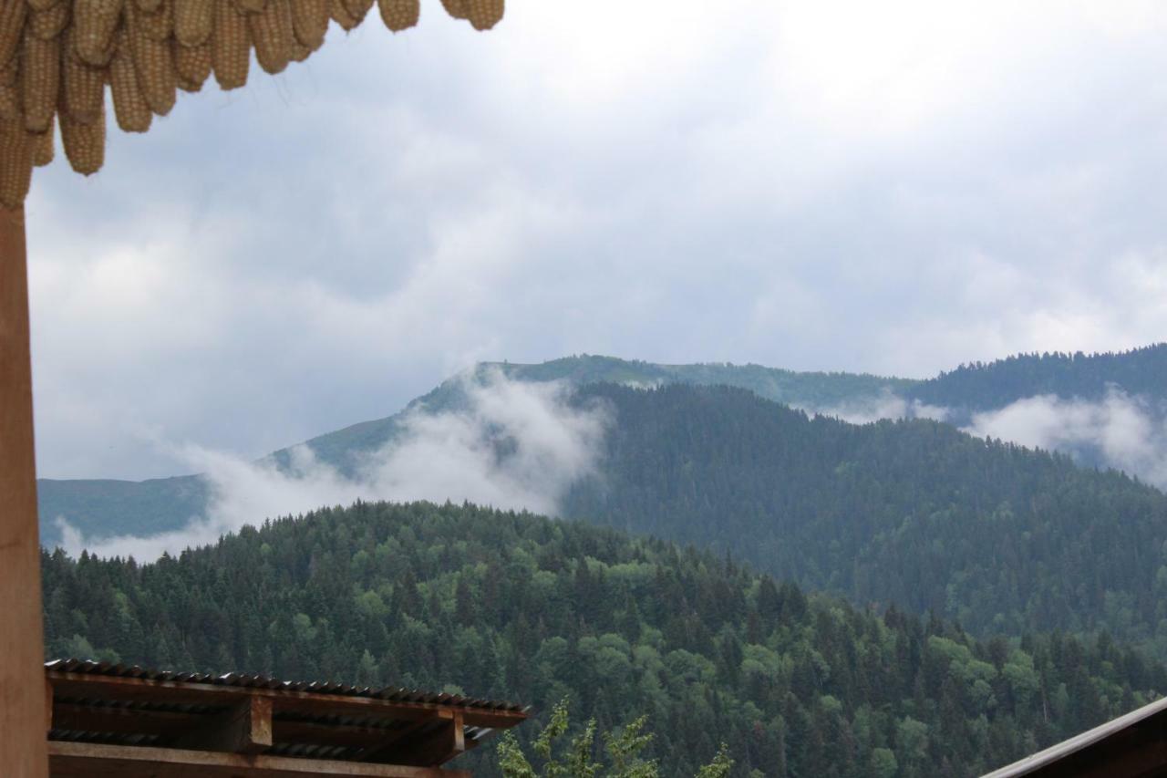 Ecohouse Svaneti Mestia Exterior photo
